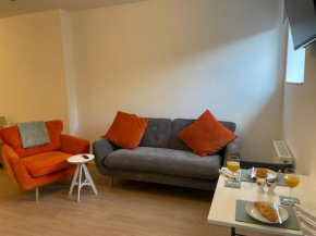 Modern studio apartment, access to Holyrood & City